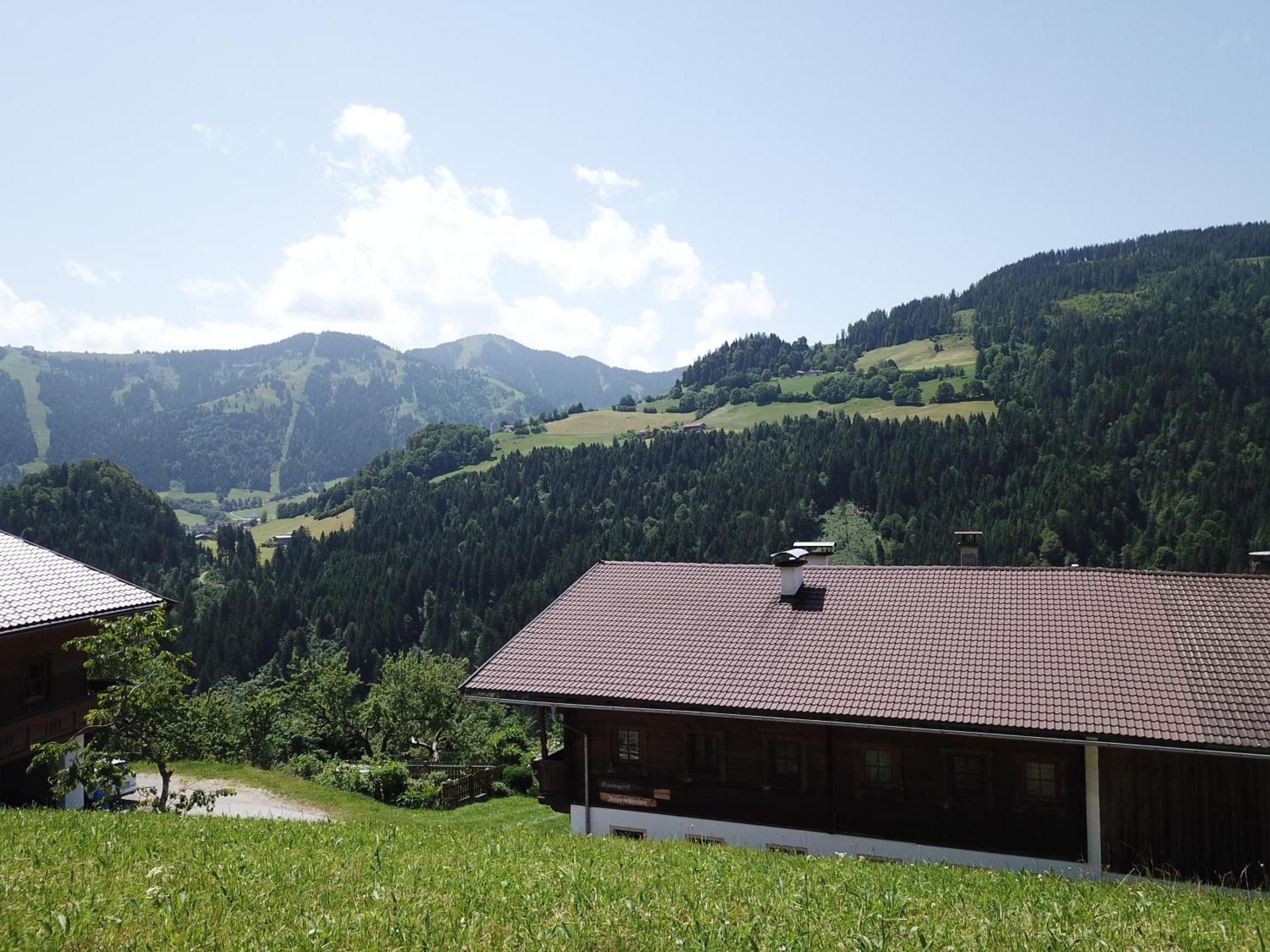 Wimmers Hundsegghof Wild001 Niederau Extérieur photo
