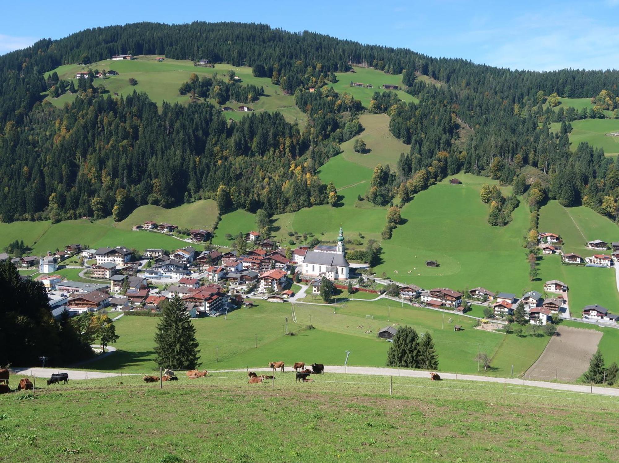 Wimmers Hundsegghof Wild001 Niederau Extérieur photo