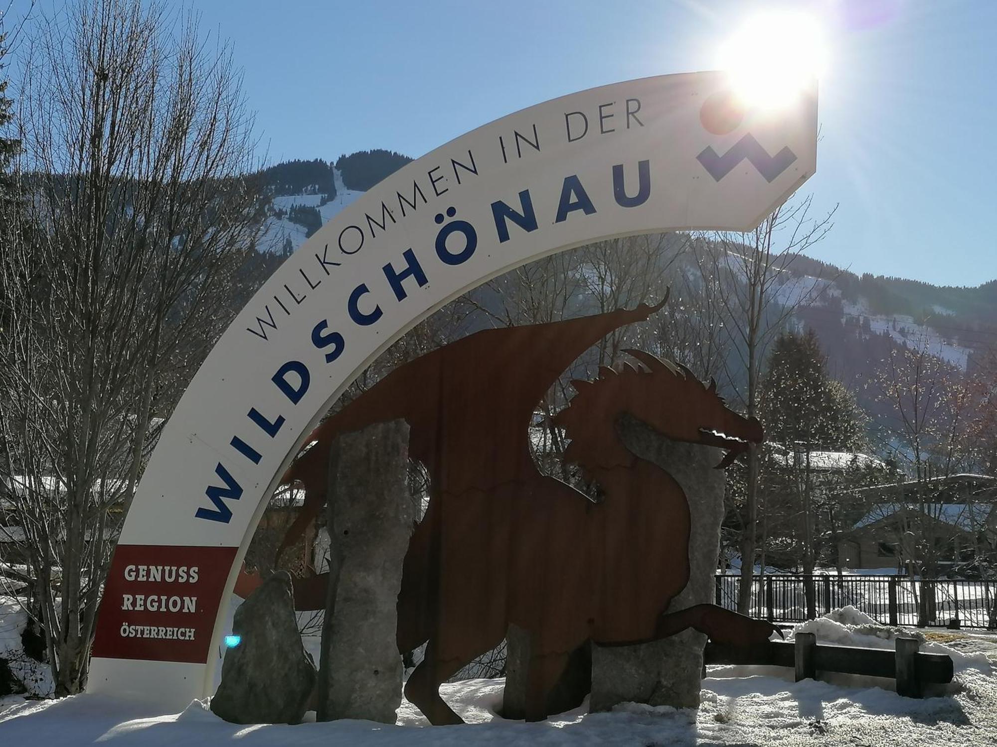 Wimmers Hundsegghof Wild001 Niederau Extérieur photo